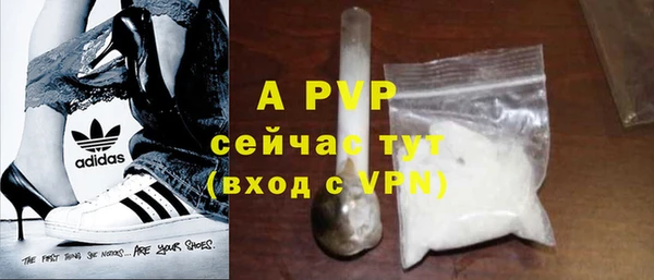 стаф Новодвинск