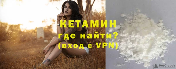 стаф Новодвинск