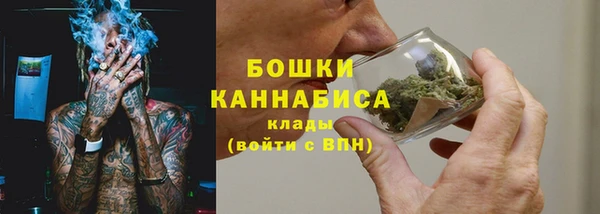 марки lsd Новозыбков