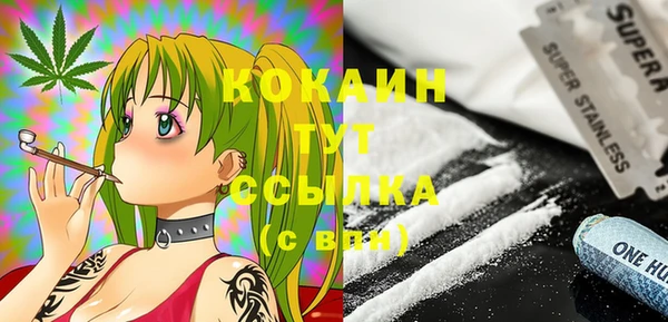 стаф Новодвинск