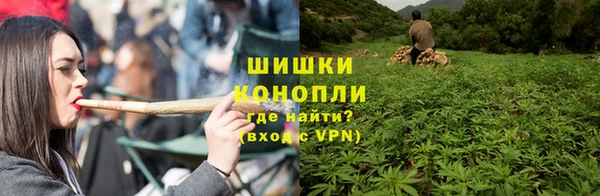 твердый Новокубанск