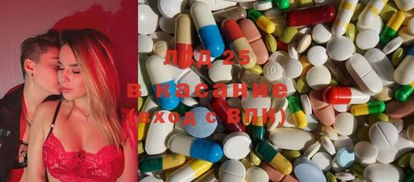 стаф Новодвинск