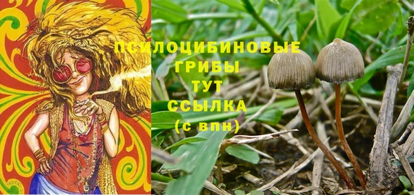 твердый Новокубанск