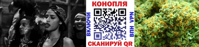 Конопля гибрид  Сычёвка 